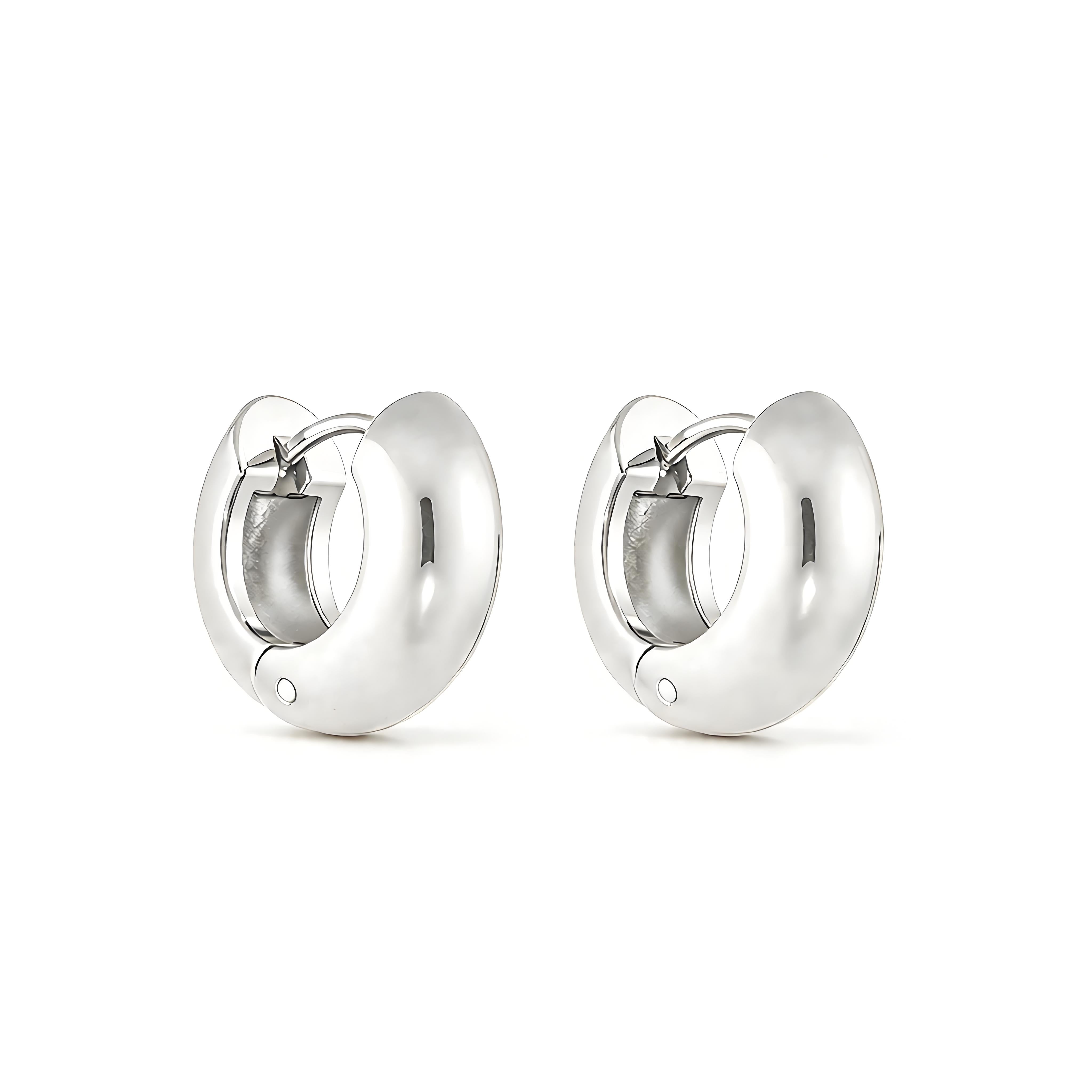 Bold Hoop Earrings