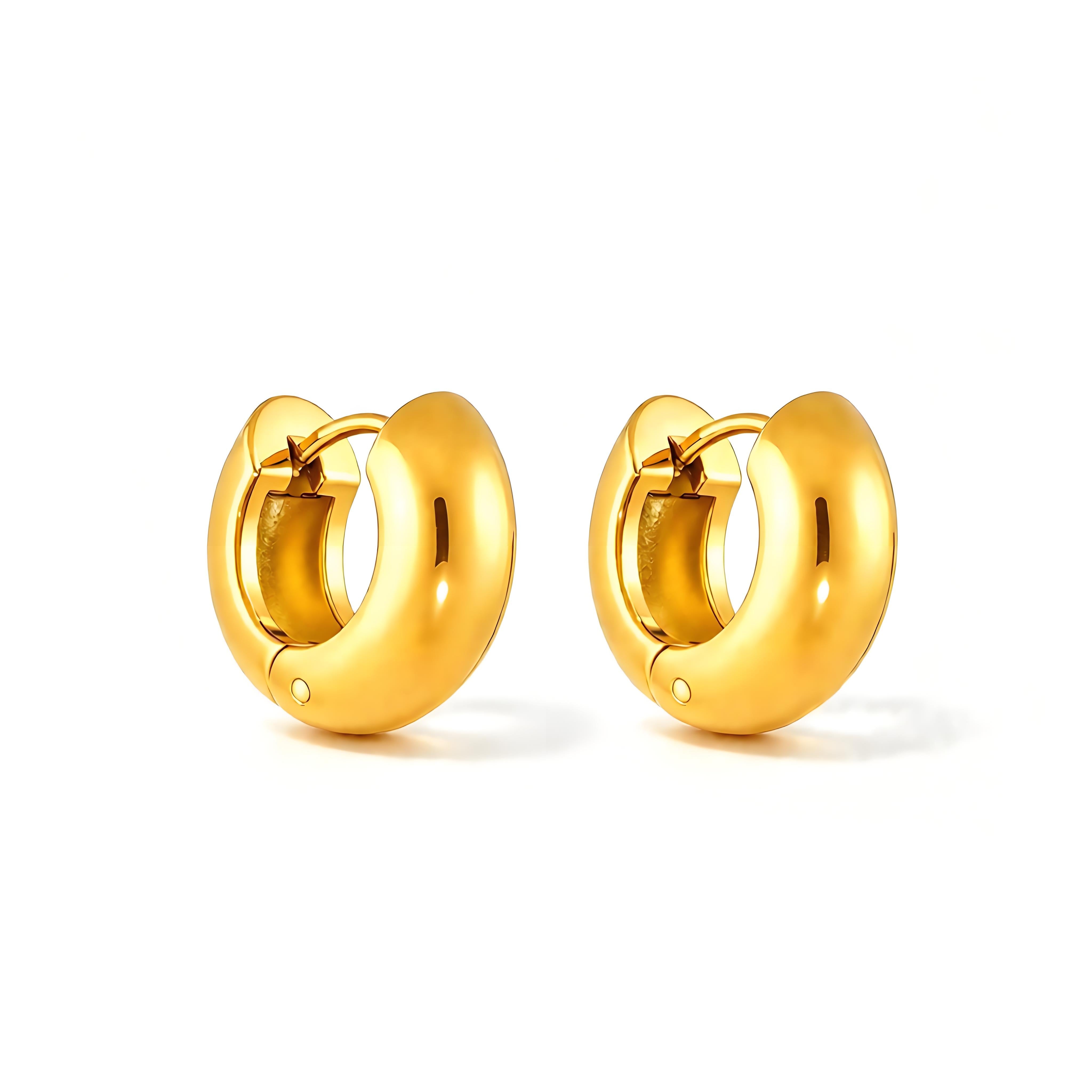Bold Hoop Earrings - Moonix