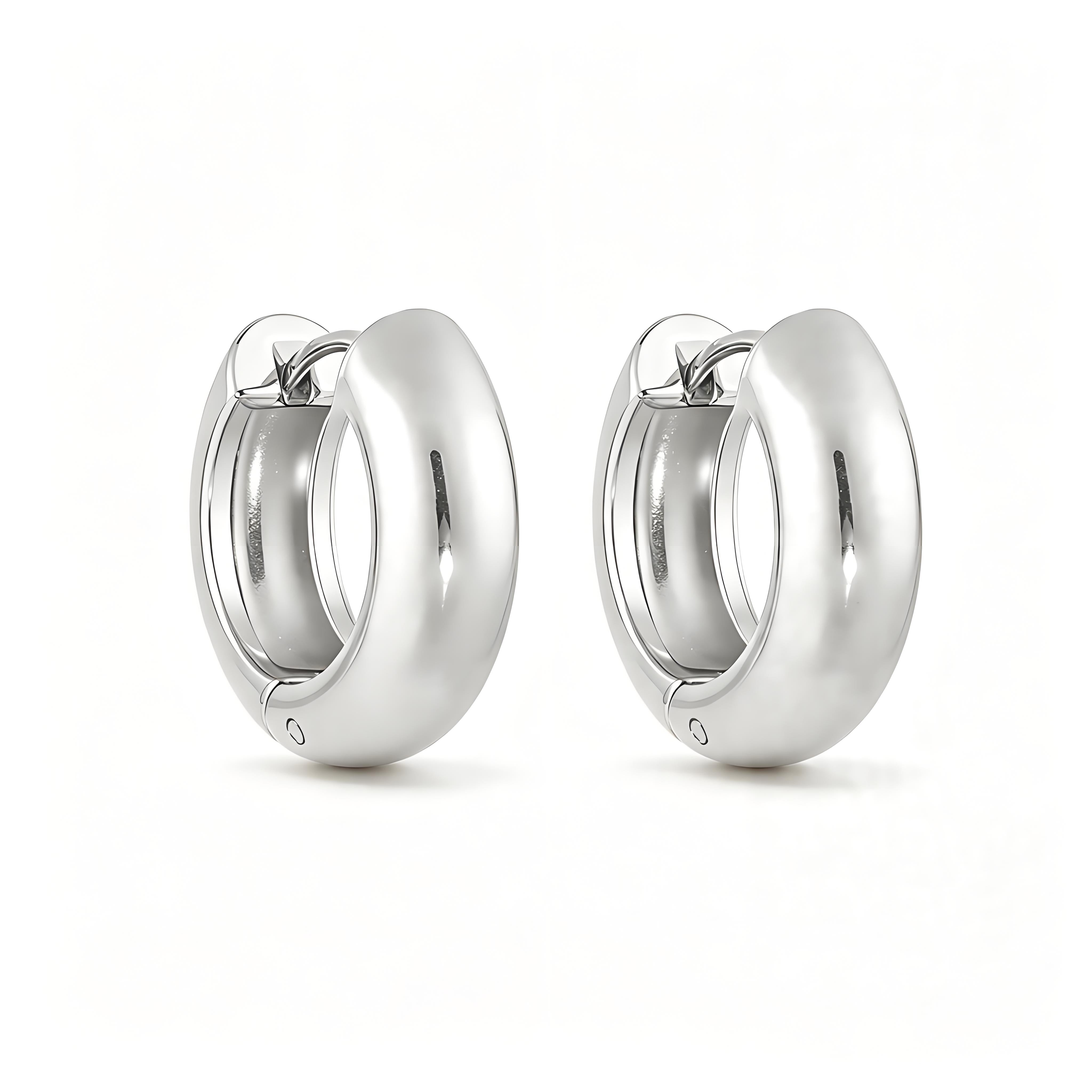 Bold Hoop Earrings